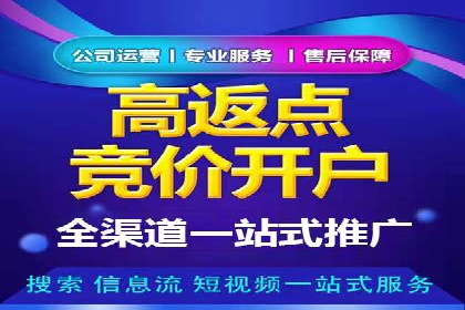 SEM主管如何制定有效的广告投放计划——案例分析